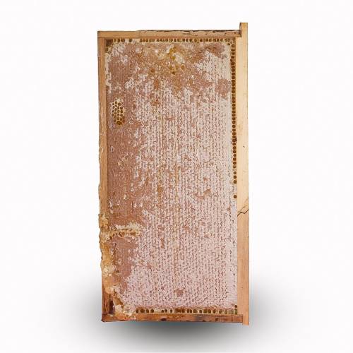 Flower Honey Comb With Wooden Frame (3.37kg)